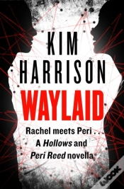 Capa do artigo Waylaid