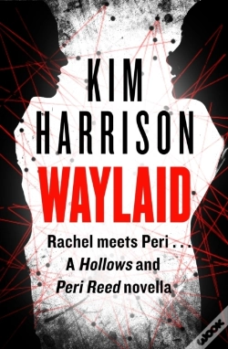 Capa do artigo Waylaid