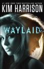 Waylaid - Preview