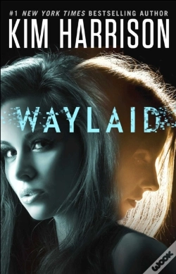 Capa do artigo Waylaid