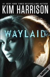 Capa do artigo Waylaid