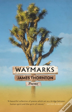 Capa do artigo Waymarks
