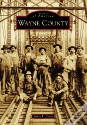 Capa do artigo Wayne County