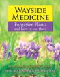 Wayside Medicine - Preview