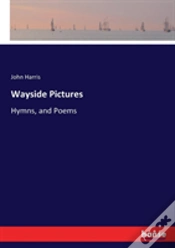 Capa do artigo Wayside Pictures
