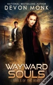Capa do artigo Wayward Souls