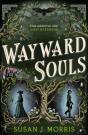 Wayward Souls - Preview