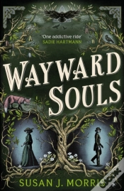 Capa do artigo Wayward Souls