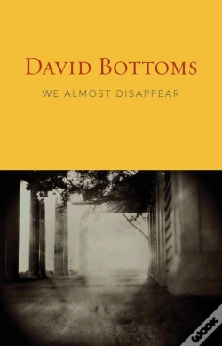 Capa do artigo We Almost Disappear