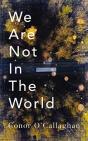We Are Not in the World - Preview