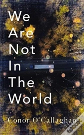 We Are Not in the World