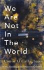 We Are Not In The World - Preview