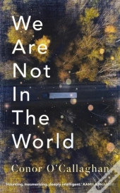 We Are Not In The World