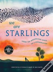 We Are Starlings