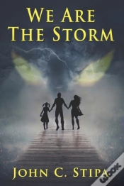 Capa do artigo We Are The Storm