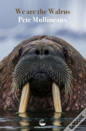 Capa do artigo We Are The Walrus