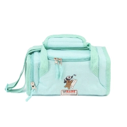 Capa do artigo We Bare Bears Menta Lancheira Mailbox, Verde