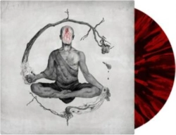Capa do artigo We Came As Romans - Vinil