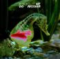 We Do Recover - Vinil - Preview