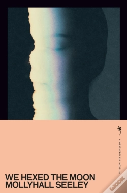 Capa do artigo We Hexed The Moon