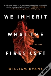 Capa do artigo We Inherit What The Fires Left