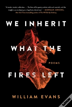 Capa do artigo We Inherit What The Fires Left