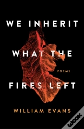 Capa do artigo We Inherit What The Fires Left