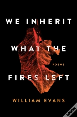 Capa do artigo We Inherit What The Fires Left