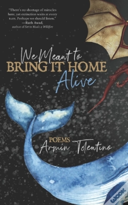 Capa do artigo We Meant To Bring It Home Alive