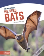Capa do artigo We Need Bats