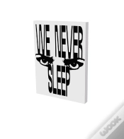 Capa do artigo We Never Sleep