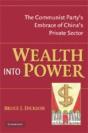 Wealth Into Power - Preview