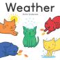 Weather - Preview