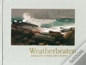 Capa do artigo Weatherbeaten
