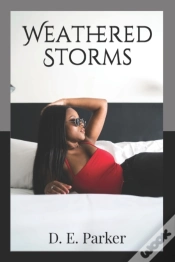 Capa do artigo Weathered Storms