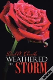 Capa do artigo Weathered The Storm