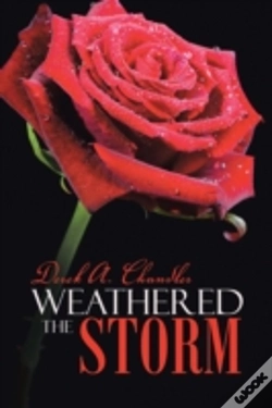 Capa do artigo Weathered The Storm