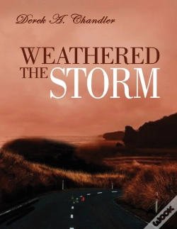 Capa do artigo Weathered The Storm