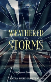 Capa do artigo Weathered The Storms