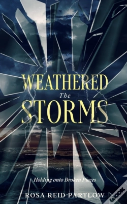 Capa do artigo Weathered The Storms