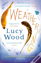 Capa do artigo Weathering
