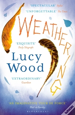 Capa do artigo Weathering