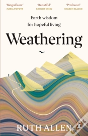 Capa do artigo Weathering