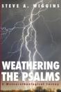 Weathering The Psalms - Preview