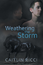 Weathering The Storm - Preview