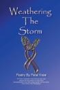 Weathering The Storm - Preview
