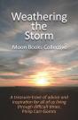 Weathering The Storm - Preview