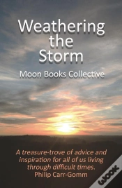 Capa do artigo Weathering The Storm