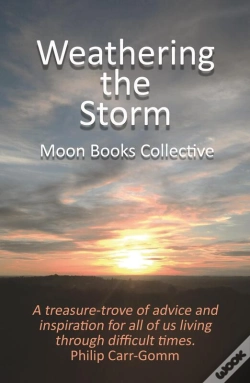 Capa do artigo Weathering The Storm