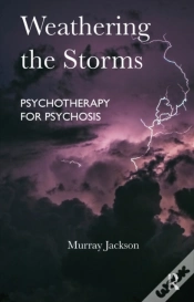 Capa do artigo Weathering The Storms